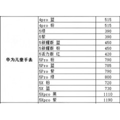 华为 手表 1（联系业务以当天价格为准购买）