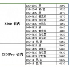 手机 VIVO3（联系业务以当天价格为准购买）