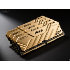 宏碁内存/192G6000 DDR5 影锋镀金版 Hera（48G*4套装 ARGB 台式 马甲灯条 海力士M-Die颗粒 C28 R665）
